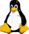 Server Linux